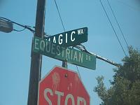 Equestrian and Magic.jpg