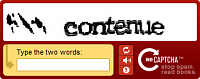 CAPTCHA What.png