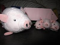 September and October 2012 077.jpg