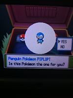 Choosing Piplup.JPG