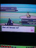 2nd Rival Battle.JPG