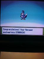 Retweet Evolves!.JPG