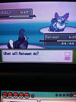 Ep. 5 Vs. Purugly.JPG