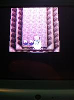 Ep. 8 Weyward Cave.JPG