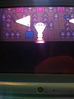 Ep. 9 Fantina's Gym.JPG