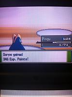 Ep. 9 Pingu Barely Survives.JPG