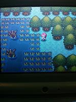 Ep. 13 Great Marsh.JPG