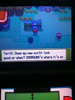 Ep. 15 Turty loves his faceboards.JPG