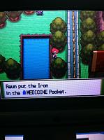 Ep. 17 Items from Surf.JPG