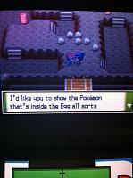 Ep. 19 Riley offers an Egg.JPG