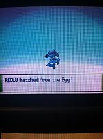 Ep. 20 Riolu hatches.JPG