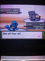 Ep. 20 Riolu vs Bastiodon.JPG