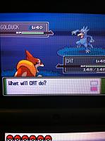 Ep. 23 Golduck.JPG