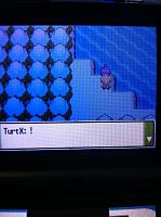 Ep. 23 TurtX at Lake Acuity.JPG