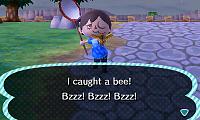 I FINALLY GOT A BEE.JPG
