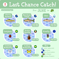 LastChanceJune.png