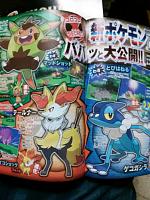 corocoro oct 2013 05.jpg