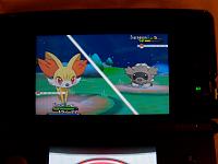 1. Flarzy vs Zigzagoon.JPG