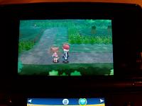 1. In the Santalune Forest.JPG