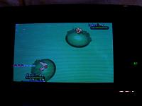 3. Found a Combee.JPG