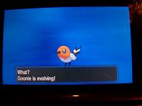 5. Goonie Evolving.JPG