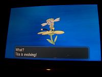 7. Flabebe Evolving.JPG