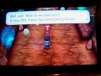 7. Team Flare Grunt.JPG