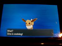 8. Eevee Evolving.JPG