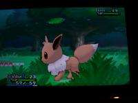 8. Found an Eevee.JPG