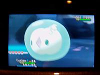 9. Finding a jelly.JPG