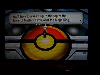 10. Time to get the ring.JPG