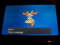 11. Braixen evolving.JPG