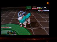 11. Flame Body Win.JPG