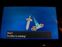 11. Honedge Evolving.JPG