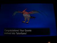11. Talonflame!.JPG