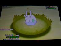 12. Catching a Goomy.JPG