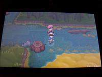 12. Route 14 is a Swampy area.JPG