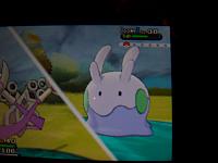 12. This is Goomy!.JPG