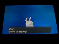 14. Goomy Evolving.JPG