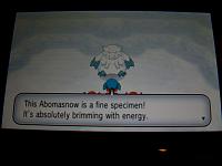 15. Team Flare and Abomasnow.JPG