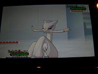 17. vs. Lysandre 1.JPG