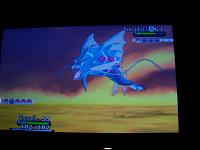 17. vs. Mega Gyarados.JPG