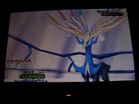 17. vs. Xerneas.JPG