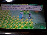 18. Pokemon Village.JPG