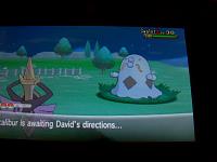 21. Shiny Swalot.JPG