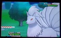 Shiny Ninetales 1.jpg