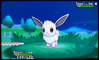 Shiny Eevee.jpg