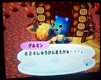 Animal Forest 624 weeks.jpg