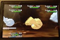 Shiny Geodude 1.JPG
