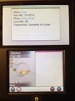 Shiny Geodude 3_.JPG